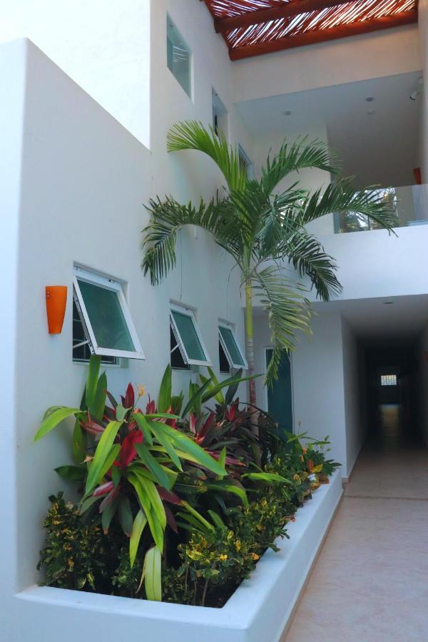 Lydmar Boutique Hotel Ζιουατανέχο Εξωτερικό φωτογραφία